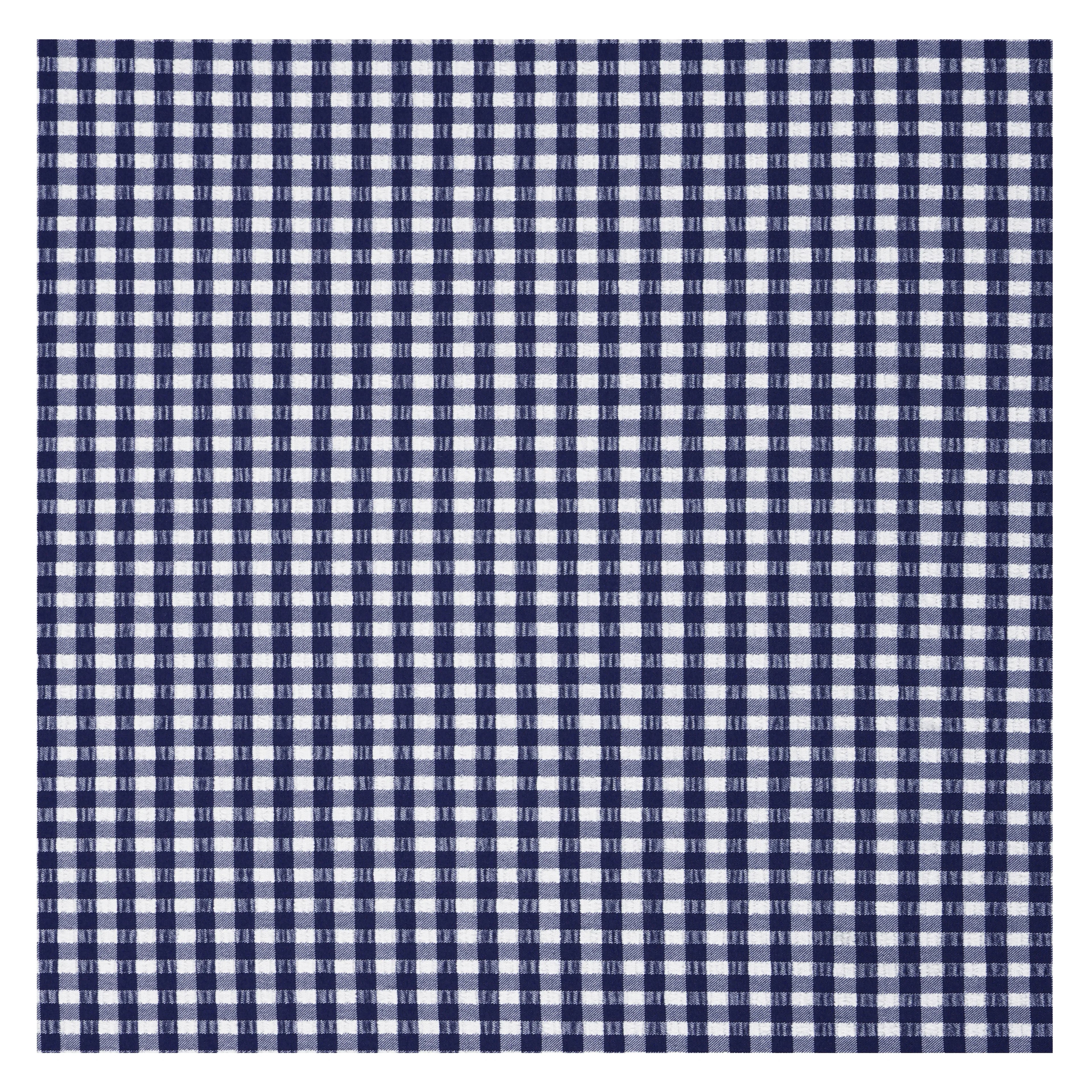 Gingham Ladies Swimsuit - Gourami