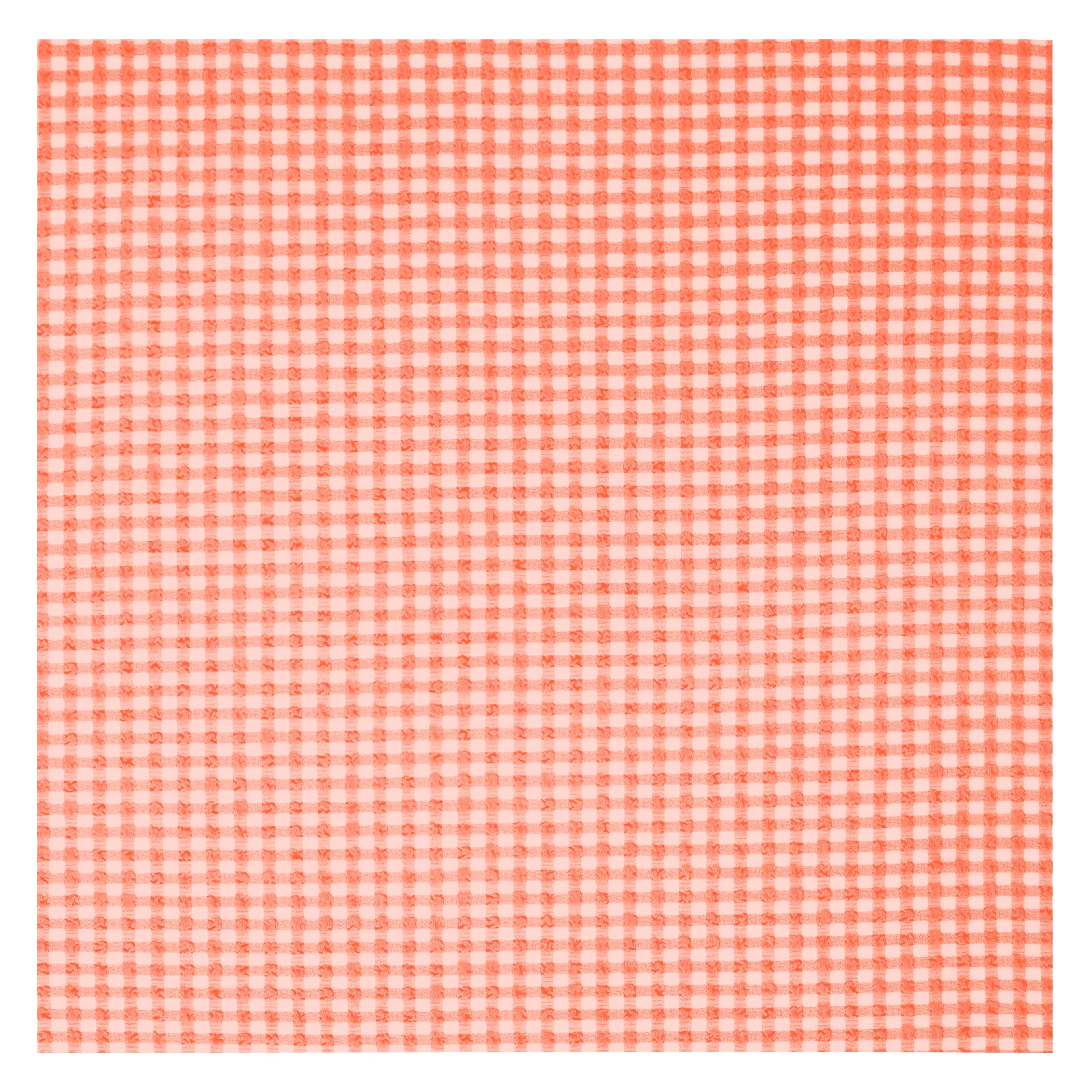 Gingham Ladies Bikini - Gourami