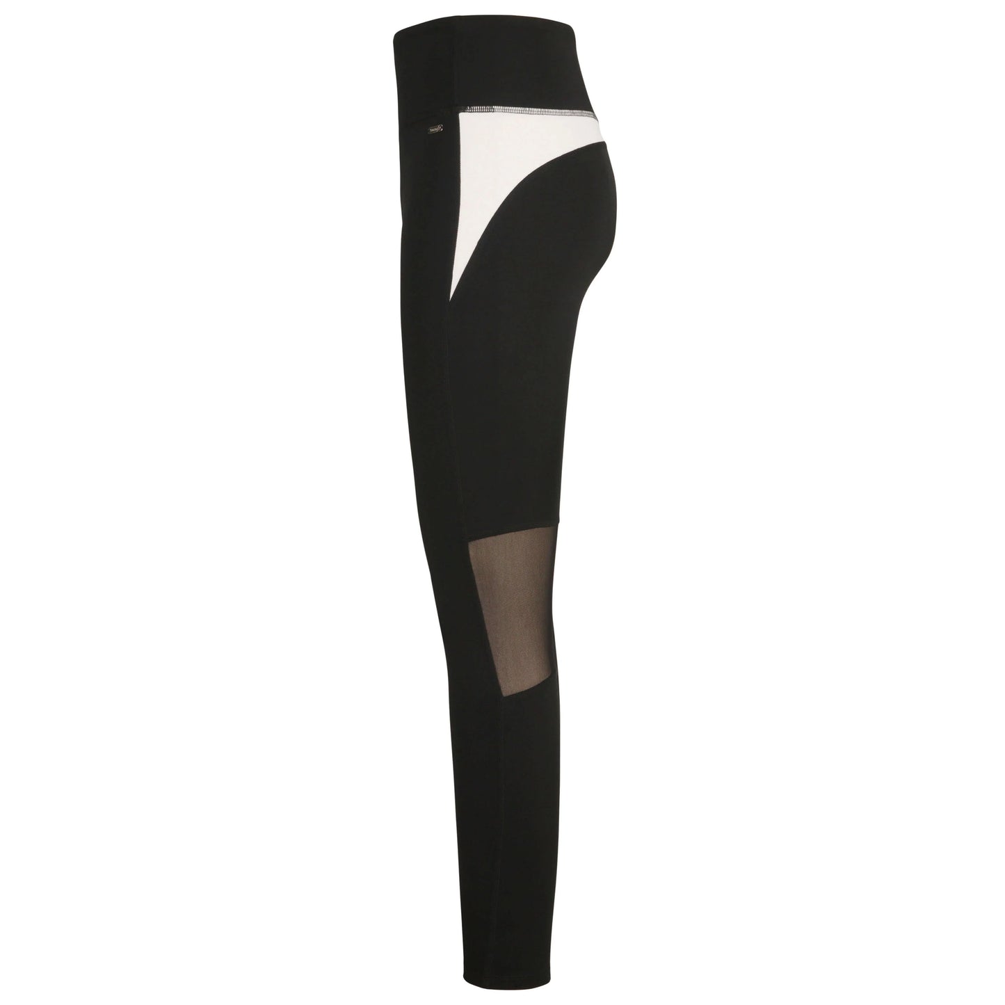 Color On Color Multi-Purpose Swim Legging - Gourami