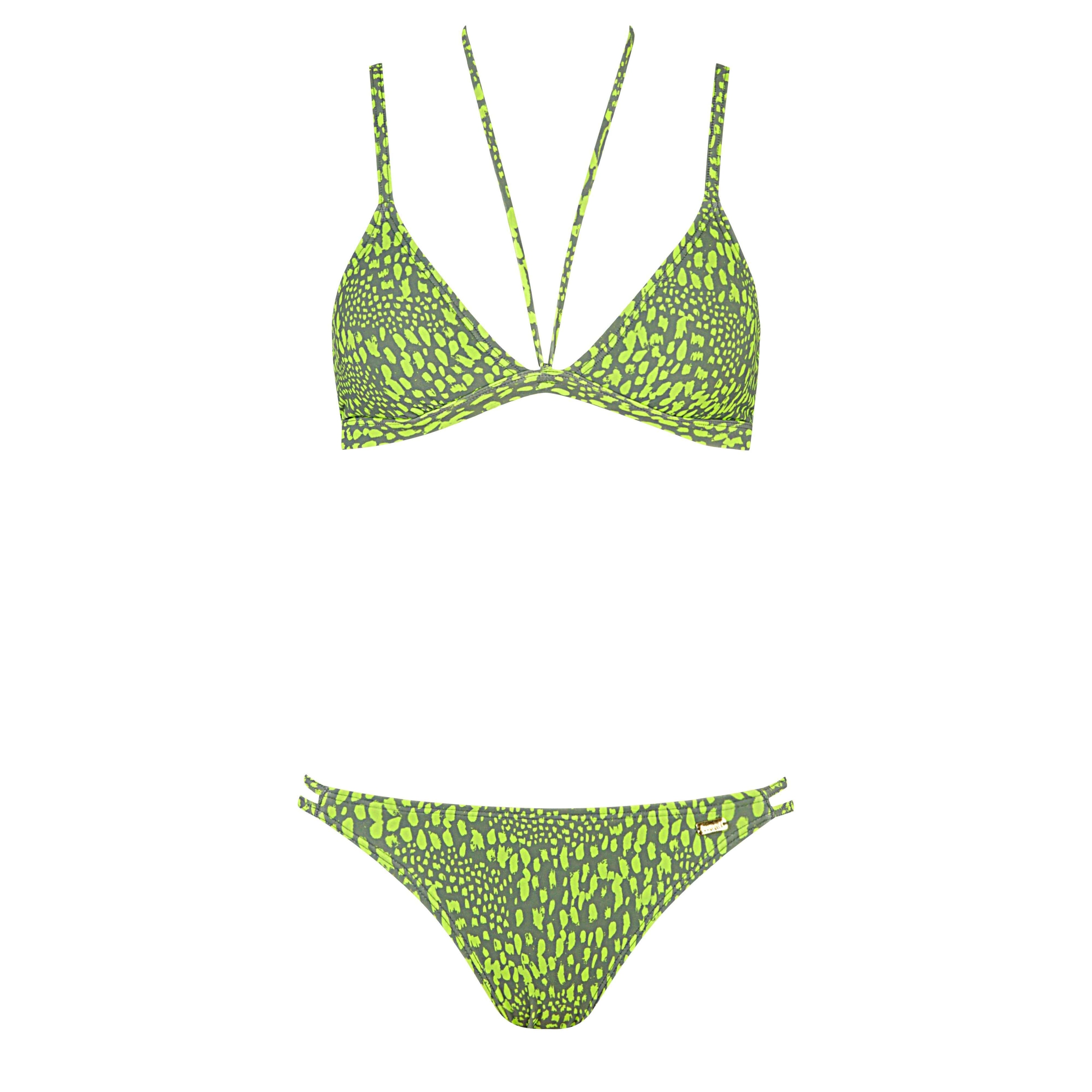 Jungle Bikini - Gourami