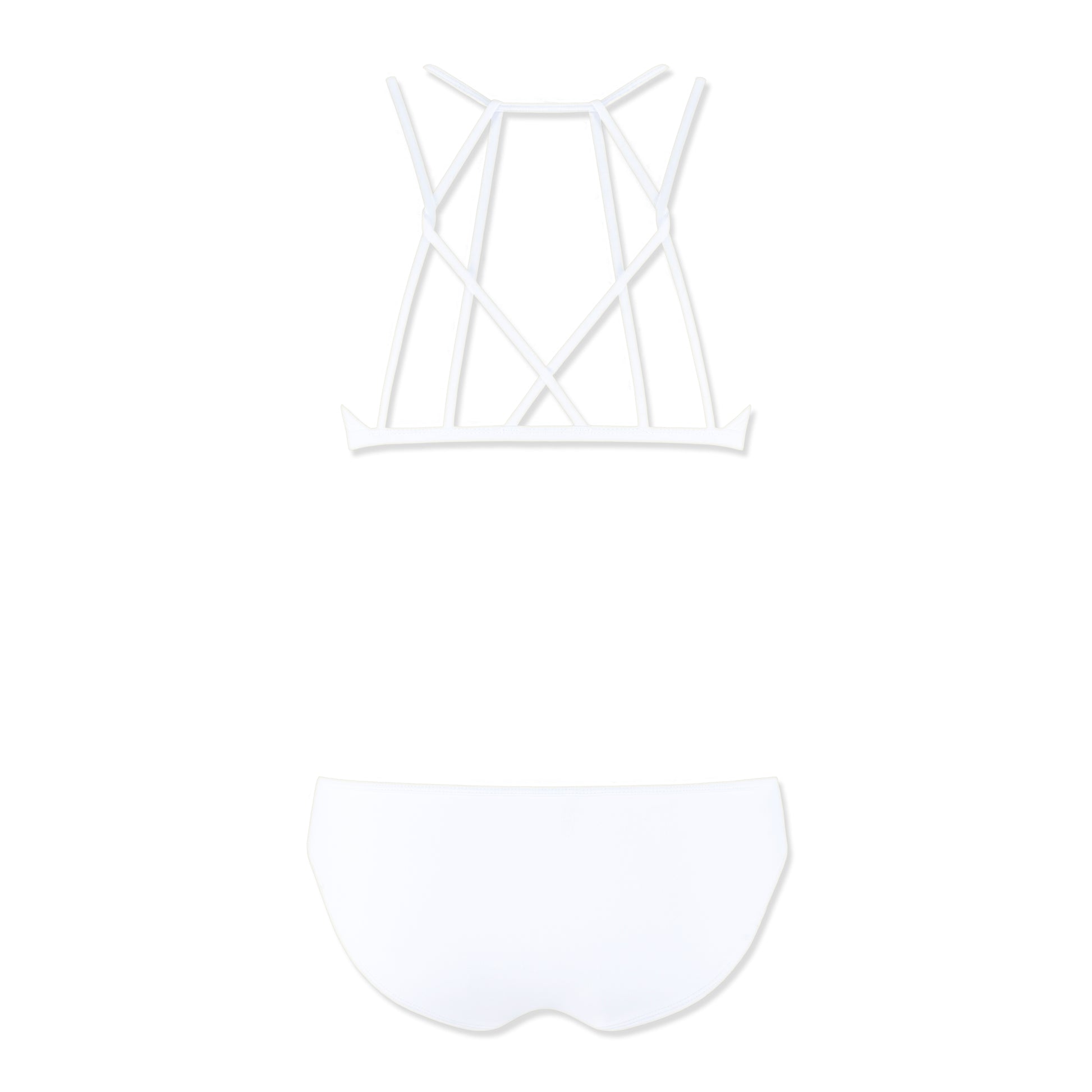 Webbed Bikini - Gourami