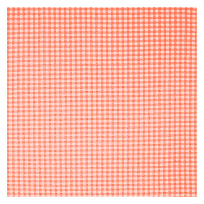 Gingham Ladies Bikini