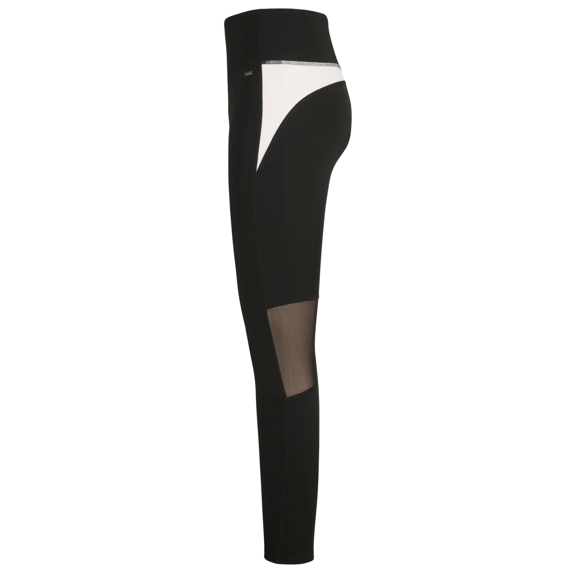Color On Color Multi-Purpose Swim Legging - Gourami