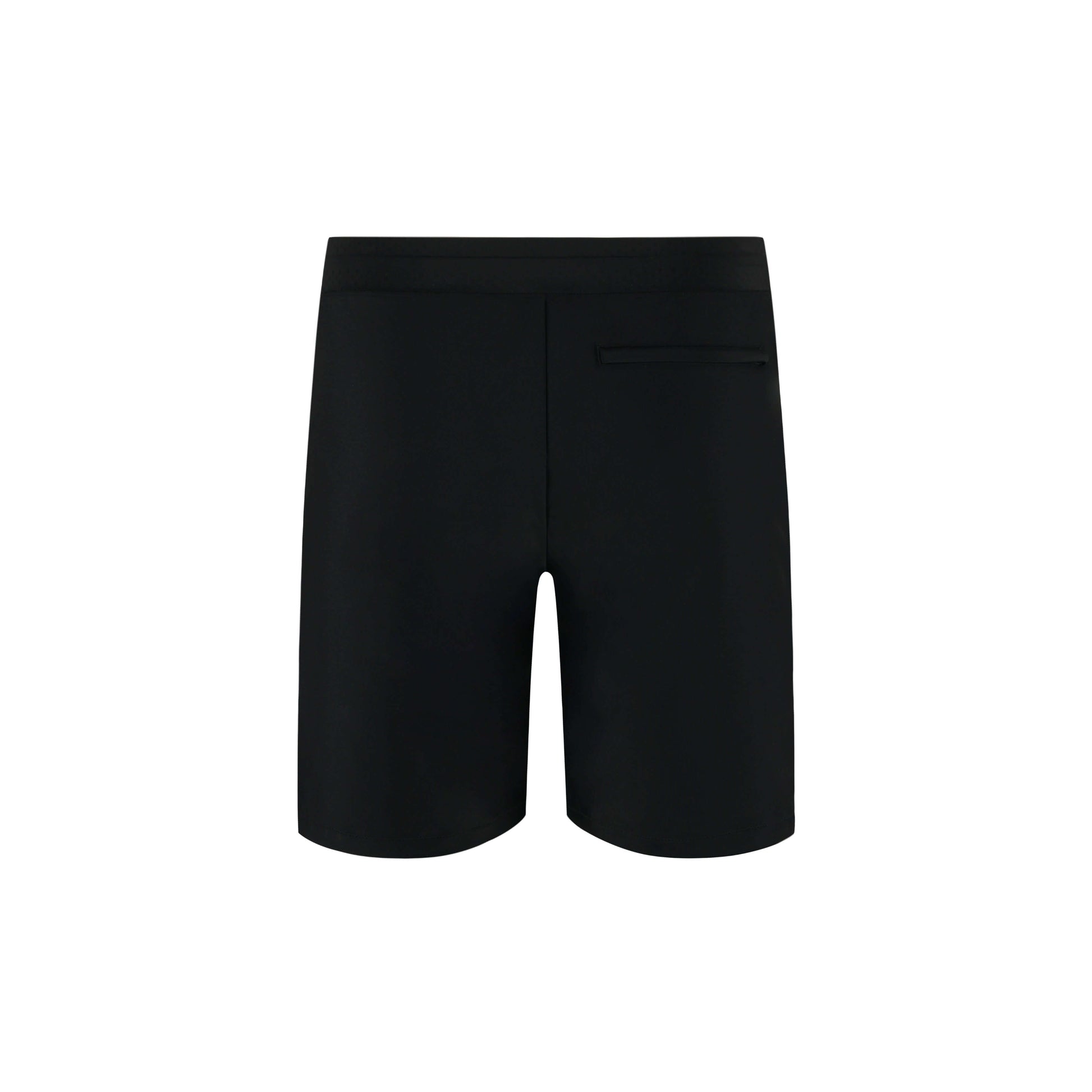 Brushstrokes Mens Swim Shorts - Gourami